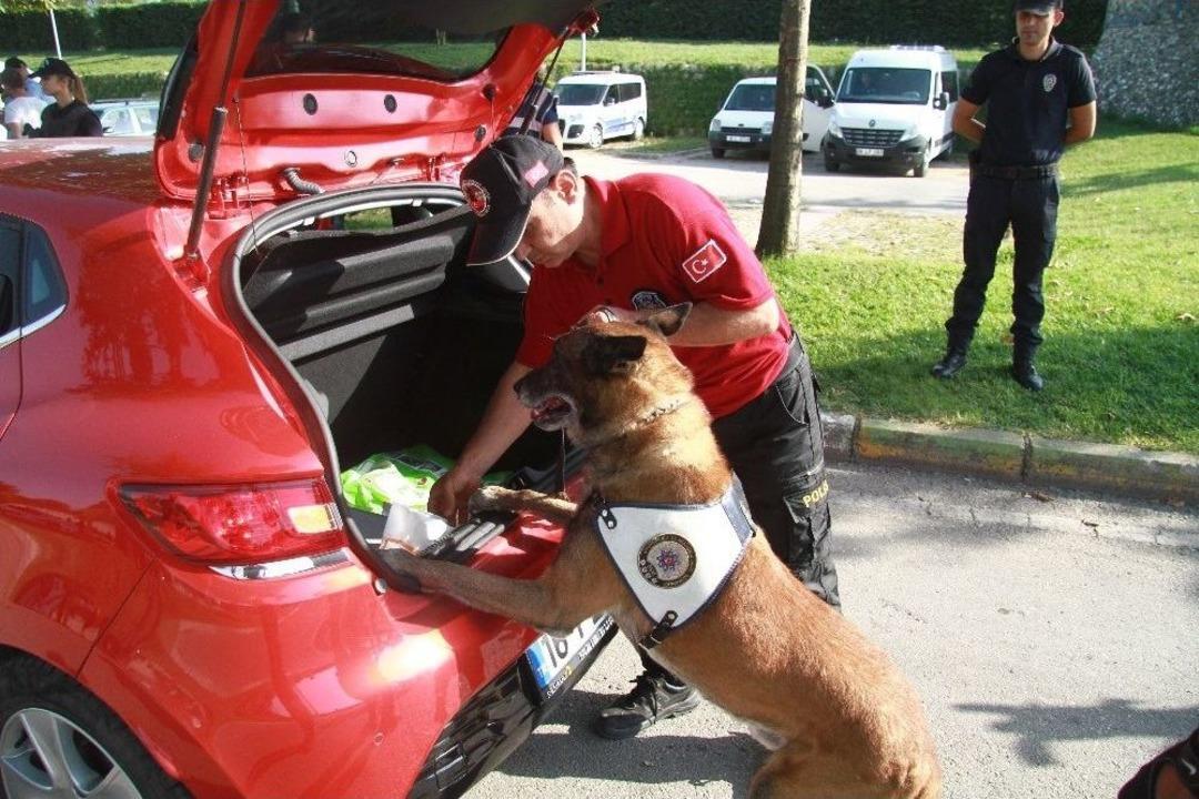Bursa&rsquo;da 150 Polisle Narkotik Uygulaması