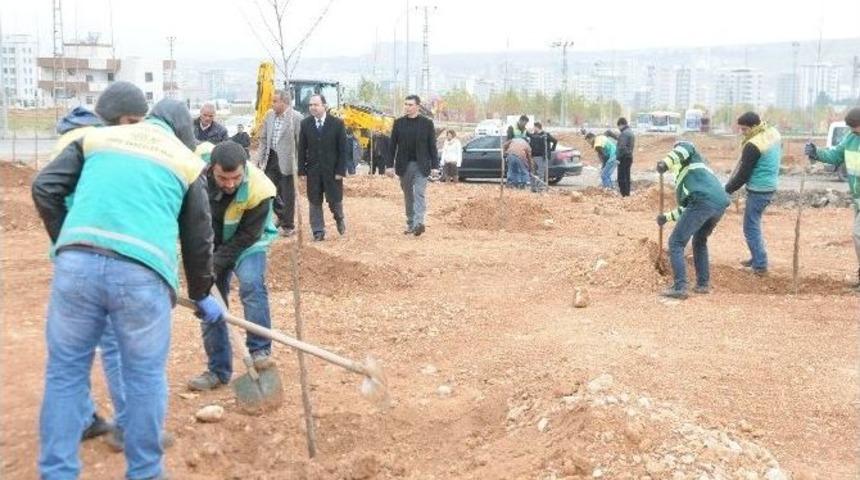 İl&ccedil;e N&uuml;fusu Kadar Ağa&ccedil; Dikilecek