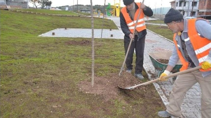 &ldquo;yeşil İ&ccedil;inde Bilecik&rdquo; Anlayışı İle 2 Bin Fidan Toprakla Buluşuyor