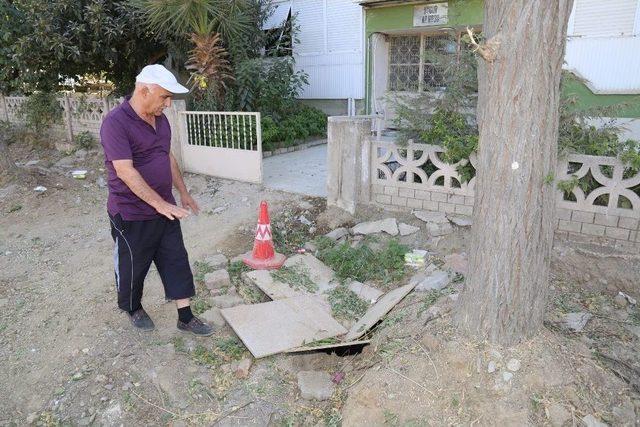 Ağaç Nakillerine Vatandaşlardan Teşekkür