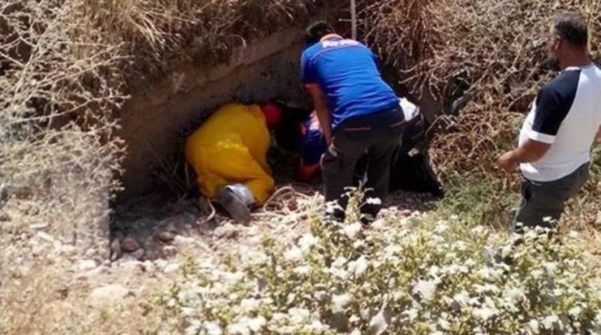 Tunceli&rsquo;de Yaralı K&ouml;peği Afad Ekibi Kurtardı