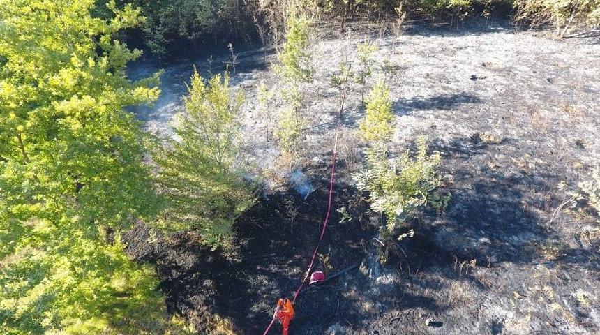 Sinop&rsquo;ta Fındık Bah&ccedil;esi Yangını