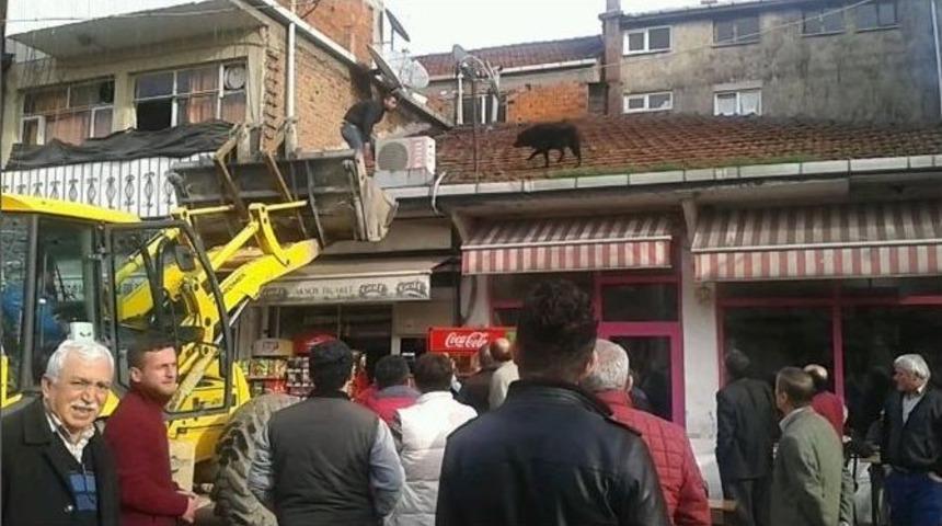 (&ouml;zel Haber) &Ccedil;atıya &Ccedil;ıkan Karabaş&rsquo;ı Kurtarma Operasyonu