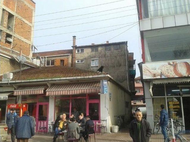(özel Haber) Çatıya Çıkan Karabaş’ı Kurtarma Operasyonu