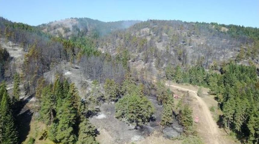 K&uuml;tahya'daki Orman Yangını Kontrol Altına Alındı (2)
