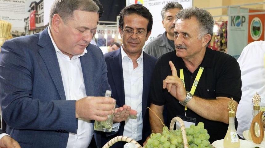 Rusya Tarım Bakan Yardımcısından &ldquo;domates&rdquo; A&ccedil;ıklaması