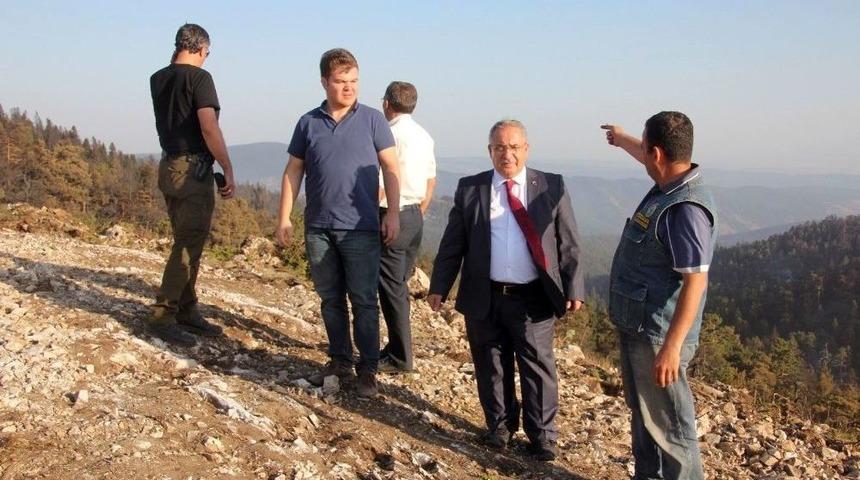 K&uuml;tahya Valisi Nayir: &ldquo;domani&ccedil; Ve Emet İl&ccedil;elerinde Yaklaşık 600 Hektarlık Ormanlık Alan Yandı&rdquo;