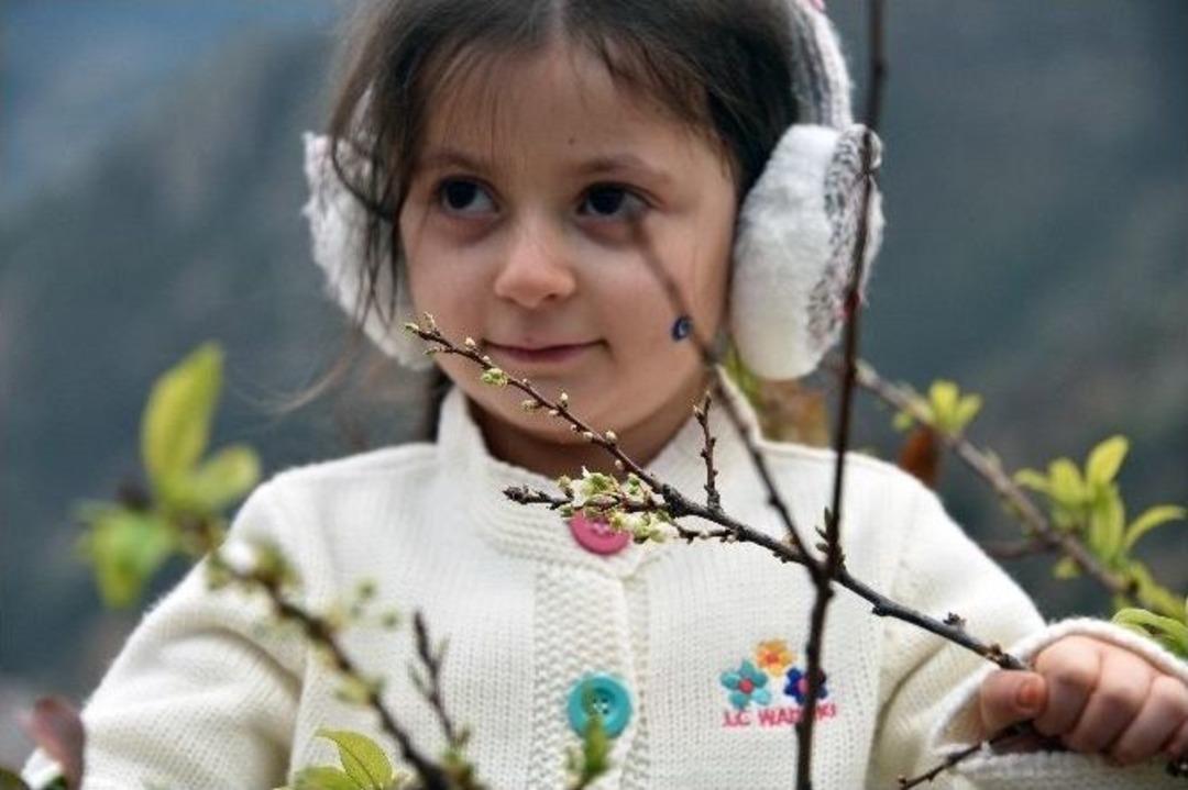 G&uuml;m&uuml;şhane&rsquo;de Kışın Ortasında Ağa&ccedil;lar &Ccedil;i&ccedil;ek A&ccedil;tı