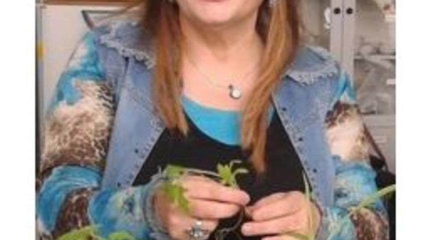 Yerli Malı Haftası&rsquo;nda &ldquo;tarım&rdquo; Geri Planda