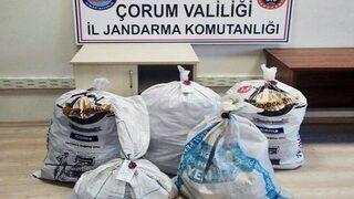 Jandarma’dan Şafak Vakti Uyuşturucu Operasyonu