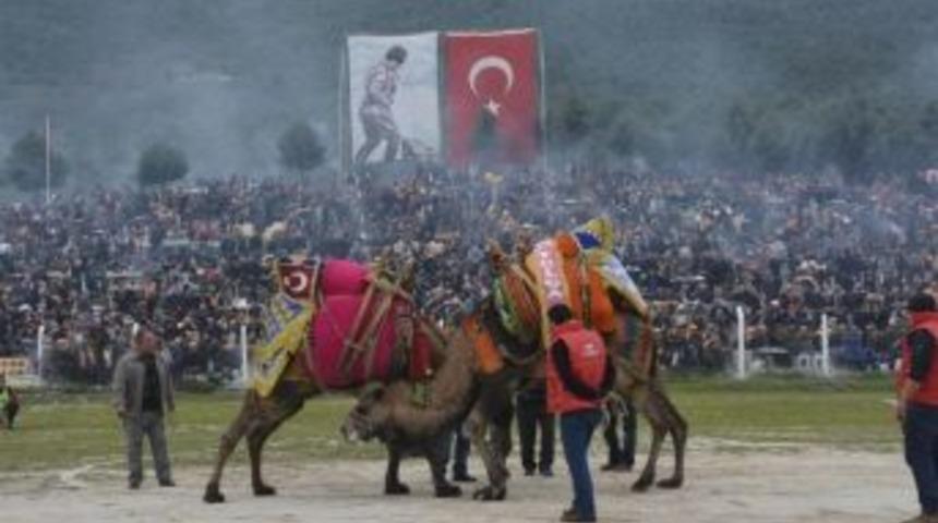 Torbalı Deve G&uuml;reşleri 22 Şubat&rsquo;ta