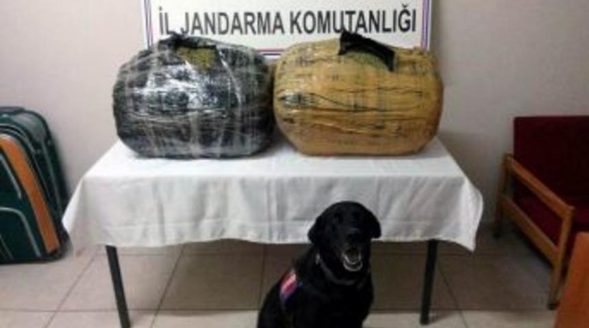 Gürün’de 35 Kilo Esrar Ele Geçirildi