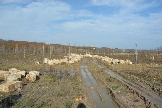 Sökülen Tarihi Köprünün Taşları Ortada Bırakıldı