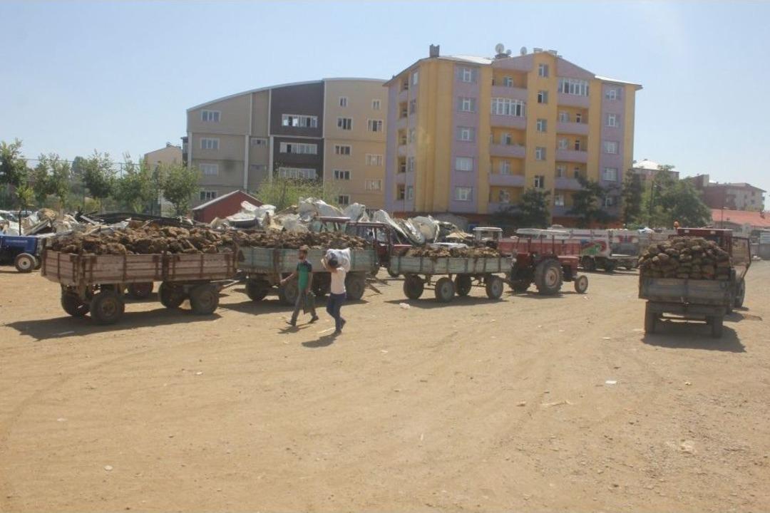 Trakt&ouml;rlerle Tezek Satabilmek İ&ccedil;in G&uuml;nlerdir Bekliyorlar
