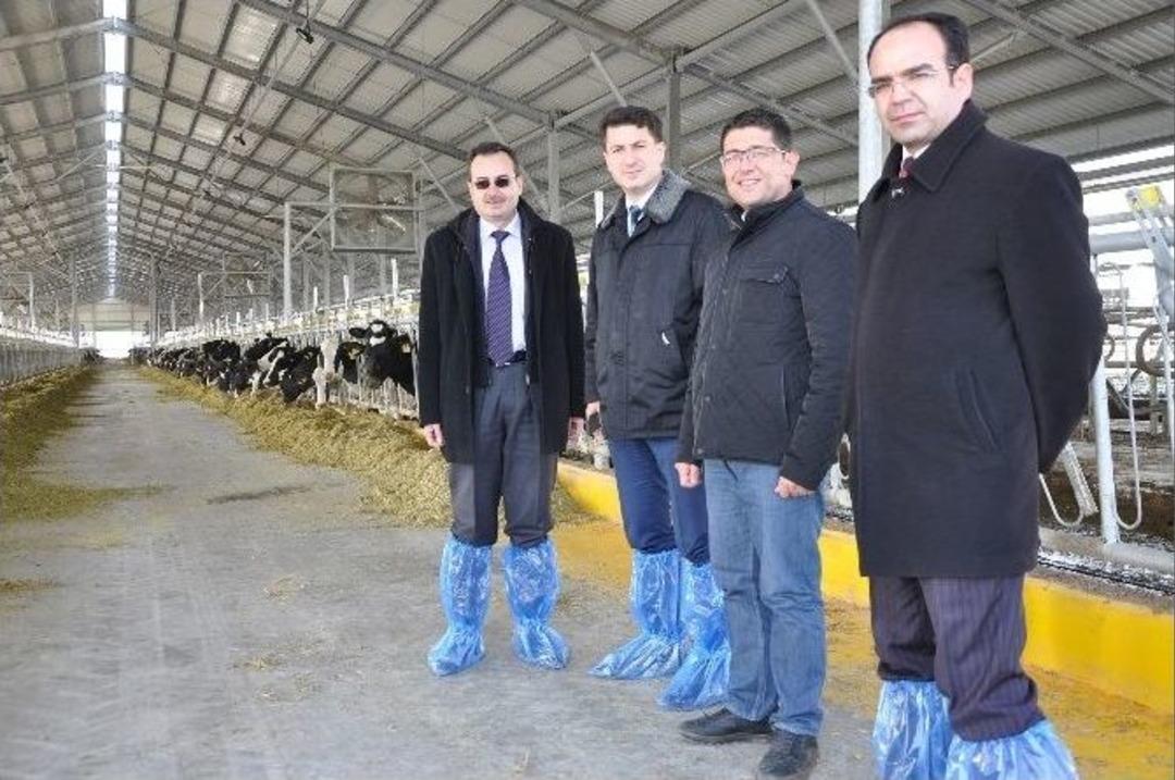 K&uuml;tahya&rsquo;nın En B&uuml;y&uuml;k Et Ve S&uuml;t Tesisi