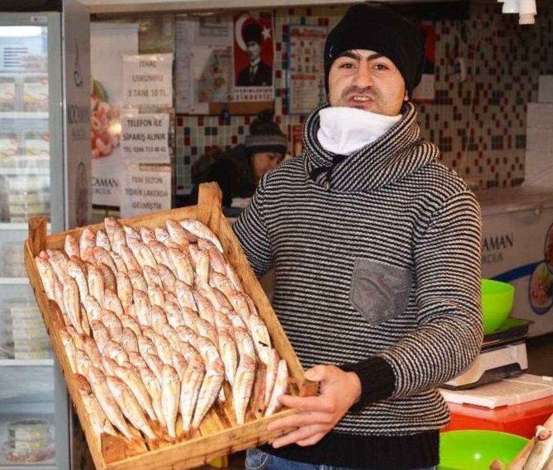 Bandırma&rsquo;da Balık Fiyatları D&uuml;şt&uuml;