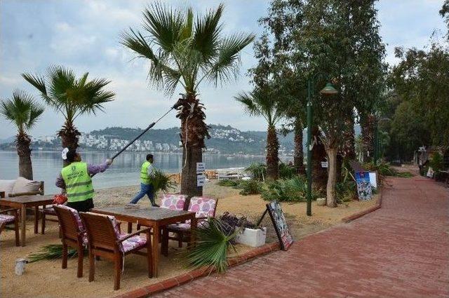 Bodrum Belediyesi Bitez’de Çalışmalarına Devam Ediyor