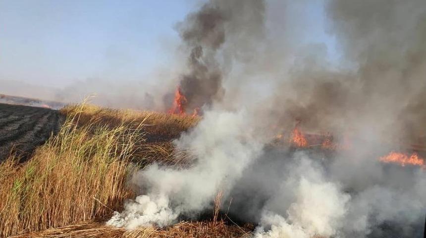 Kuş Cenneti&rsquo;nde 6 Dekar Sazlık Alan Yandı