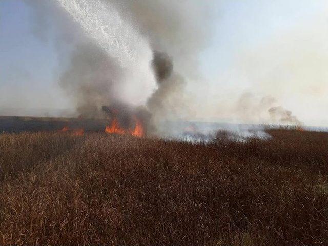 Kuş Cenneti&rsquo;nde 6 Dekar Sazlık Alan Yandı 1