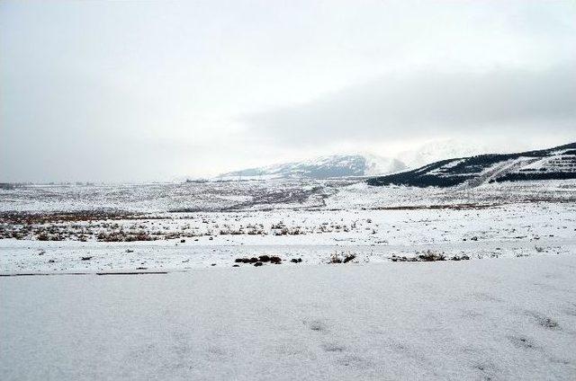 Erzurum&rsquo;da Kar Yağışı 1