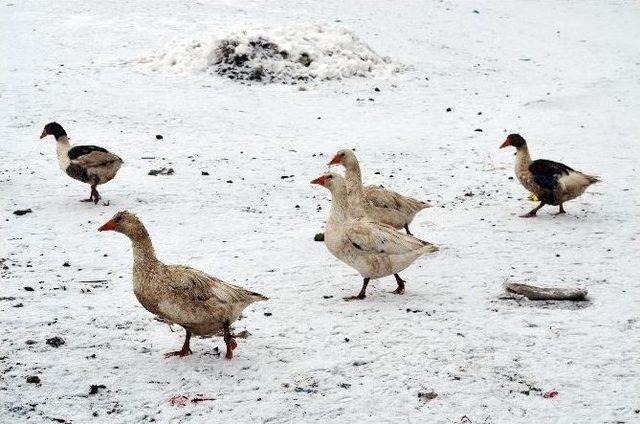 Erzurum&rsquo;da Kar Yağışı 2