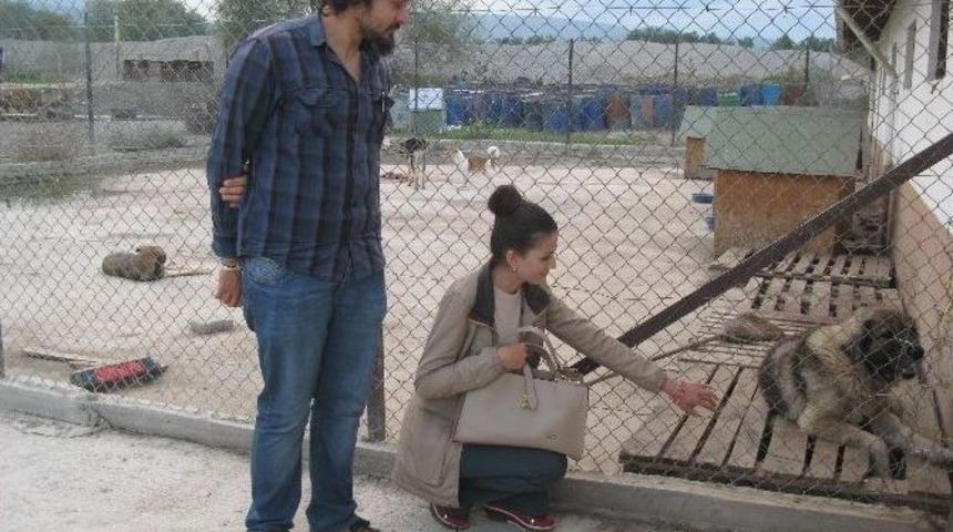 Haytap&rsquo;tan Hayvan Barınağına Ziyaret