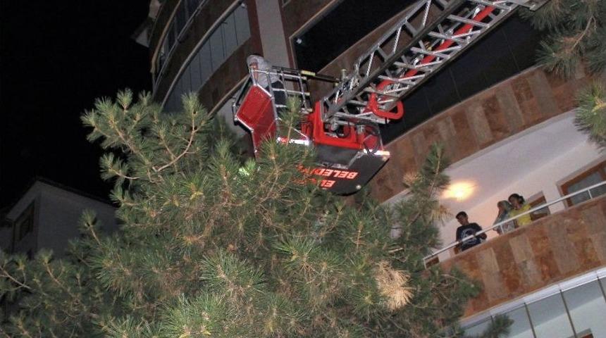 Elazığ&rsquo;da Kedi Kurtarma Operasyonu