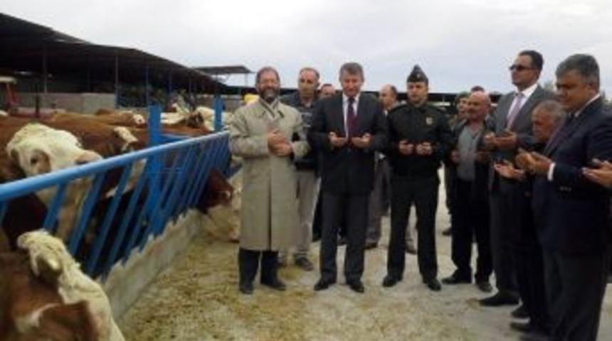 Ereğli Protokolünden Hayvan Çiftliğine Ziyaret