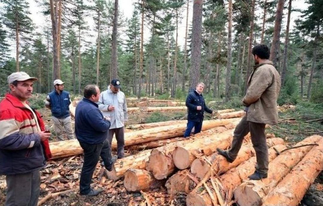 İbrahim Erg&uuml;ven: Basit Hatalar Kazan&ccedil; Kaybına Neden Olabilir