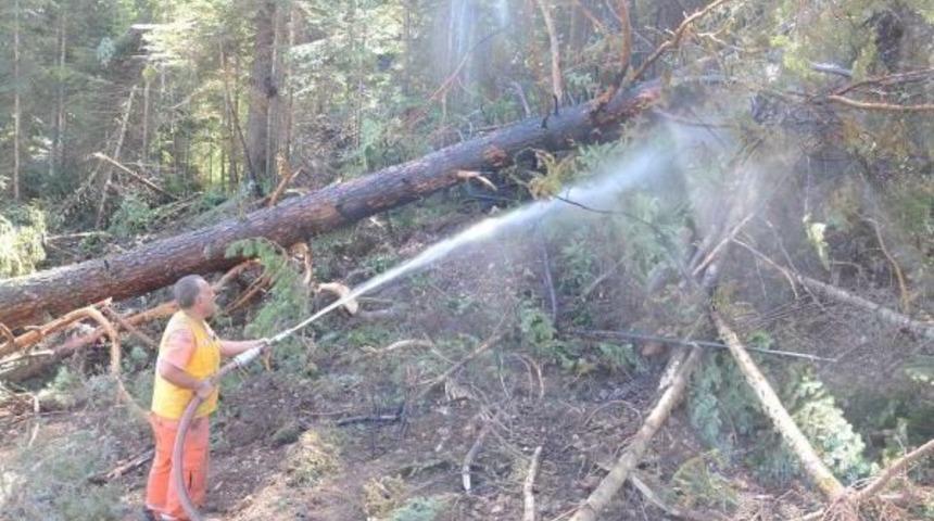Bilecik Ve K&uuml;tahya'daki Orman Yangınları Kontrol Altında