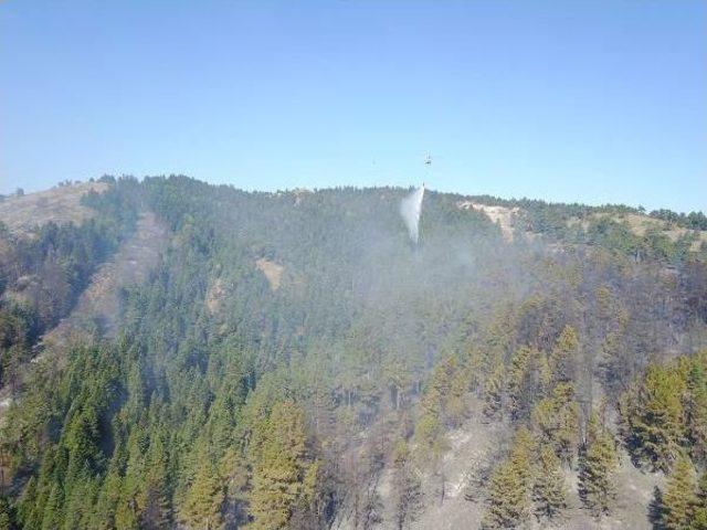 Bilecik Ve Kütahya daki Orman Yangınları Kontrol Altında 3