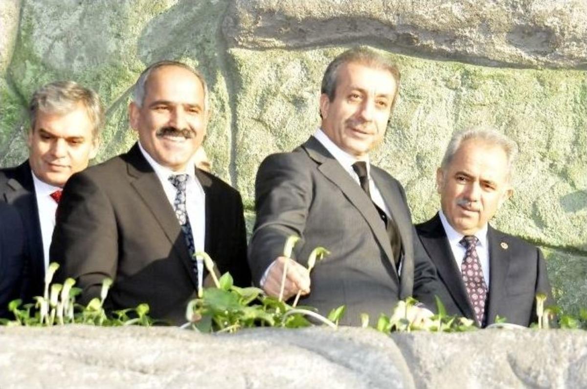 D&uuml;nyanın Ilıman İklimdeki En B&uuml;y&uuml;k Geofit Bah&ccedil;esi A&ccedil;ıldı
