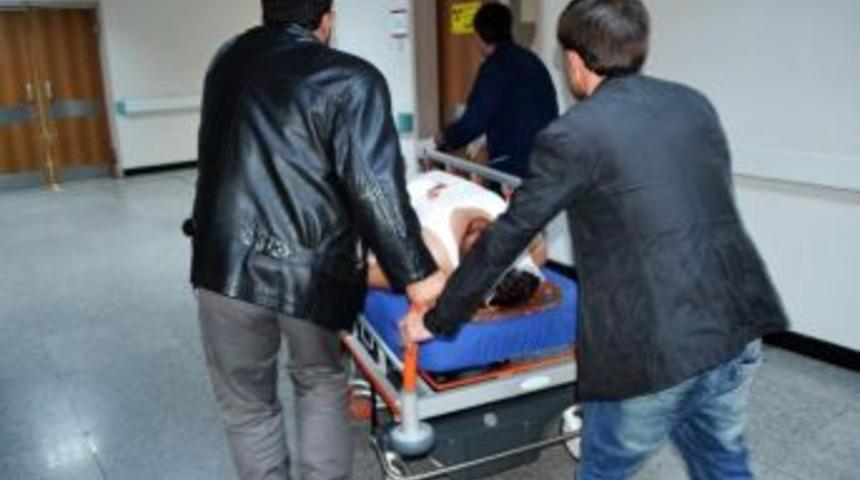 Domuza Çarpan Motosiklet Sürücüsü Hastanelik Oldu