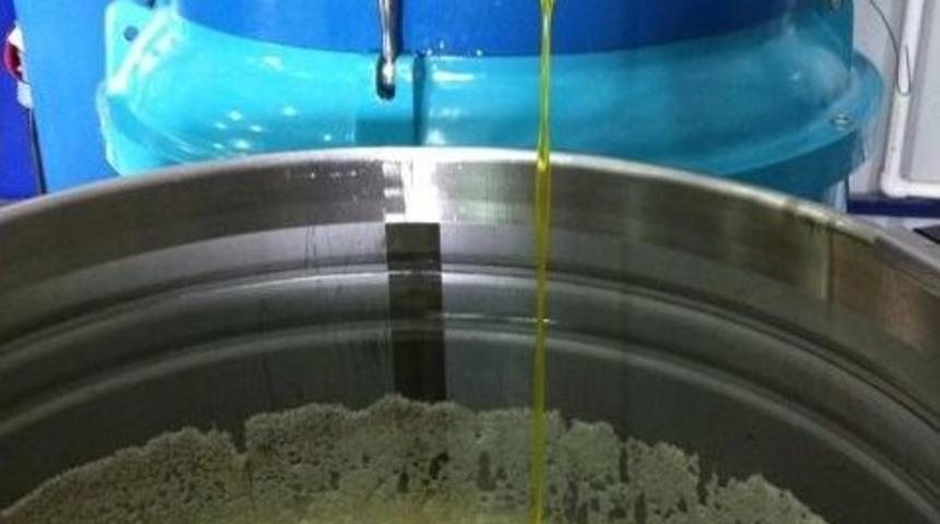 Erken Hasat Zeytinyağı Fiyatı Artırdı