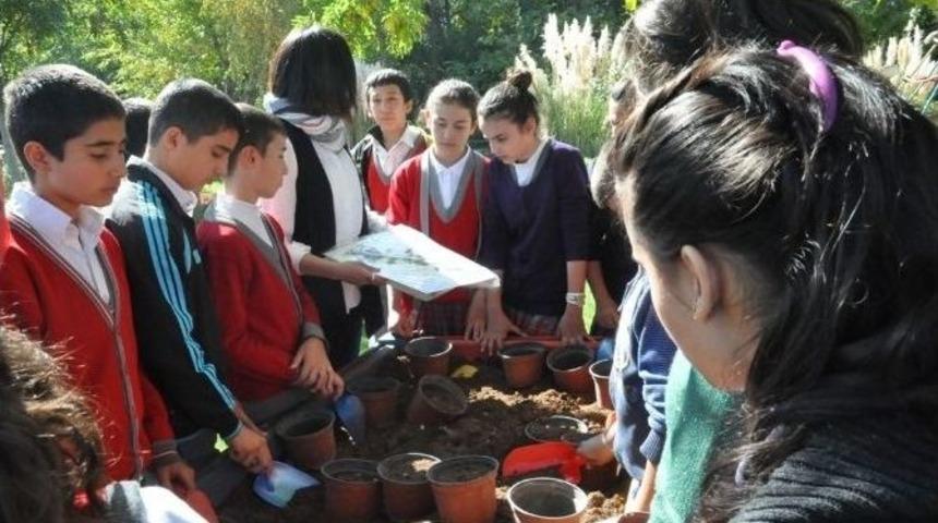 3 Bin 200 &Ouml;ğrenci Bitkilerle Buluştu