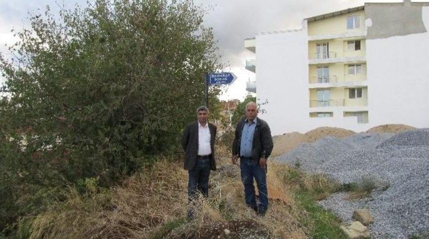 B&ouml;ylesine Anca T&uuml;rkiye&rsquo;de Rastlanır