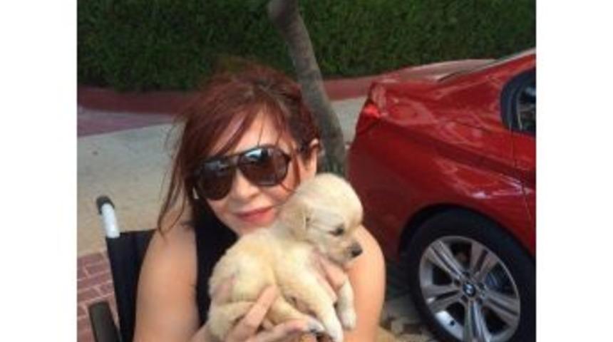 Darp Edilen Öğretmenin Avukatından Açıklama