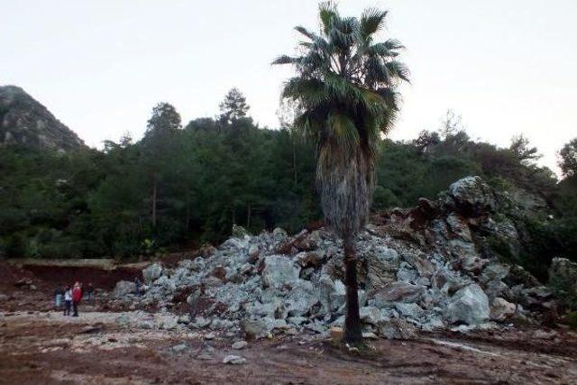 55 Kilo Dinamit Patlatıldı, Ağaçlar Zarar Görmedi