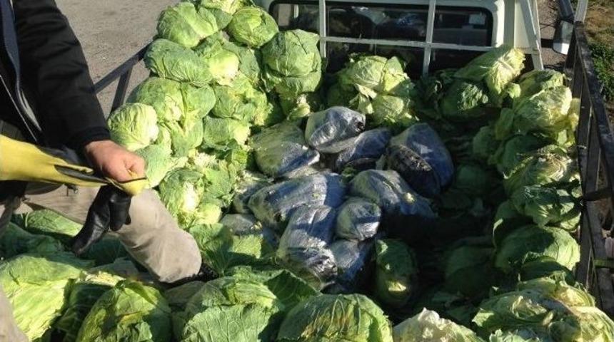 Lahana Arası Esrar Sevkiyatı