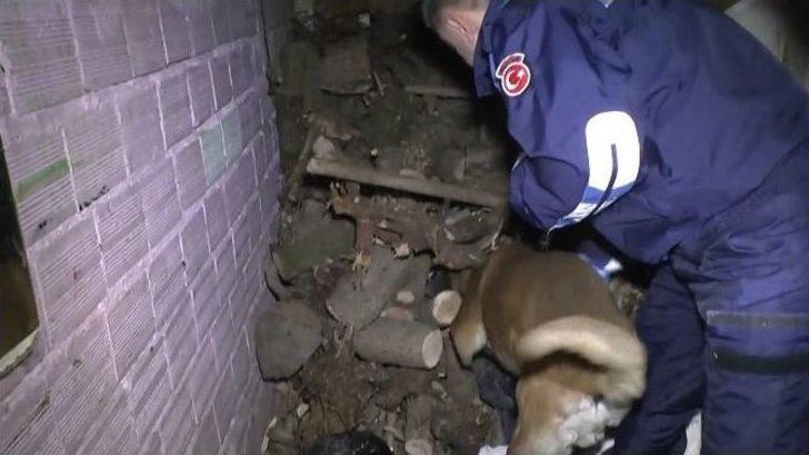 Bursa’da Bonzai Satıcılarına Nefes Kesen Şafak Operasyonu: 37 Gözaltı G1