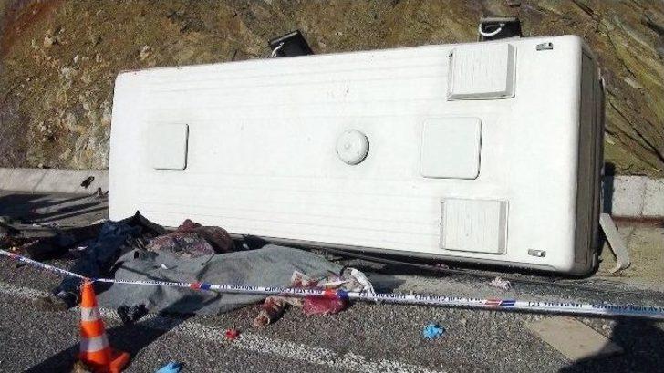 Elma Toplamaya Giderken Can Verdiler G2