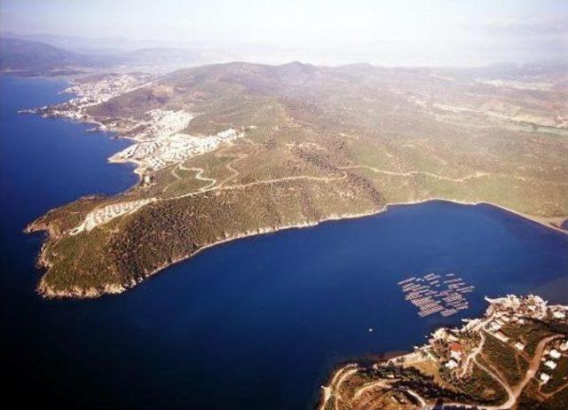 Ağaoğlu'na, Bodrum'da Çinli Ortak