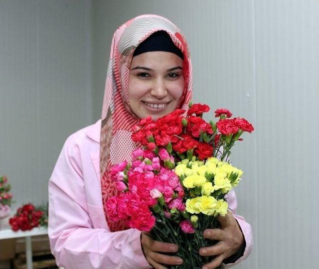 Çiçek İhracatçısı, “ruble” Krizini Fırsata Çeviriyor 2