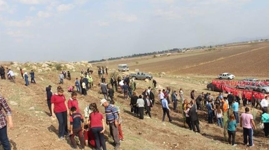 160 Bin Ceyhanlı İ&ccedil;in 160 Bin Fidan