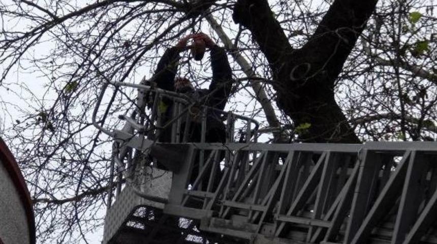 Kargalara İtfaiye Desteğinde &Ccedil;anlı &Ouml;nlem