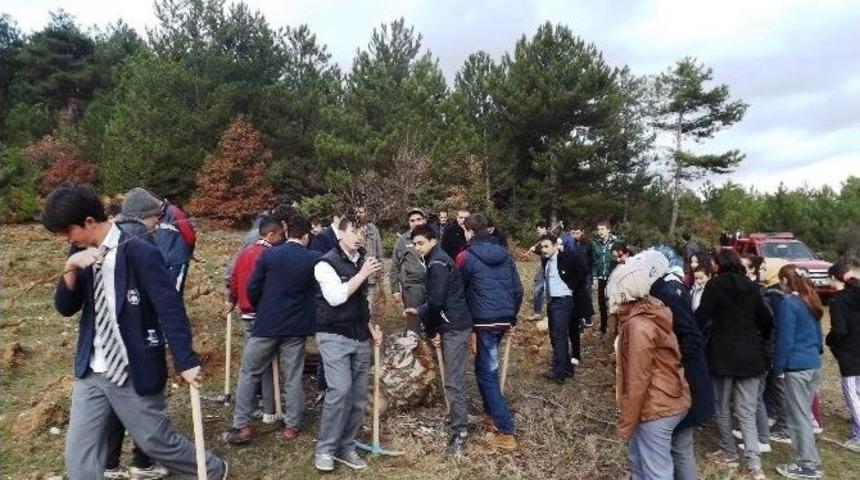Bilecik&rsquo;te 3 Bin 500 Adet Fidan Toprakla Buluşturuldu