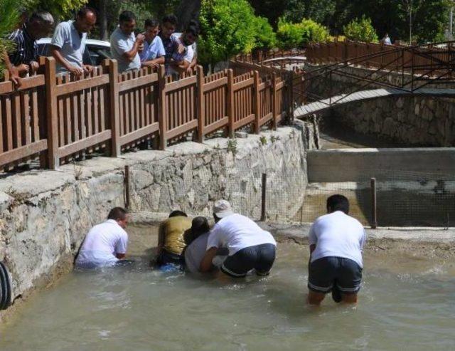 Çıplak Elle Balık Avı Yarışı