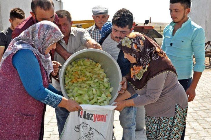 Çorum’da Kavun Pekmezi Yapıldı G3