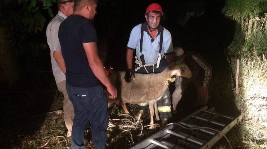 Kuyuya D&uuml;şen Koyunun İmdadına İtfaiye Yetişti