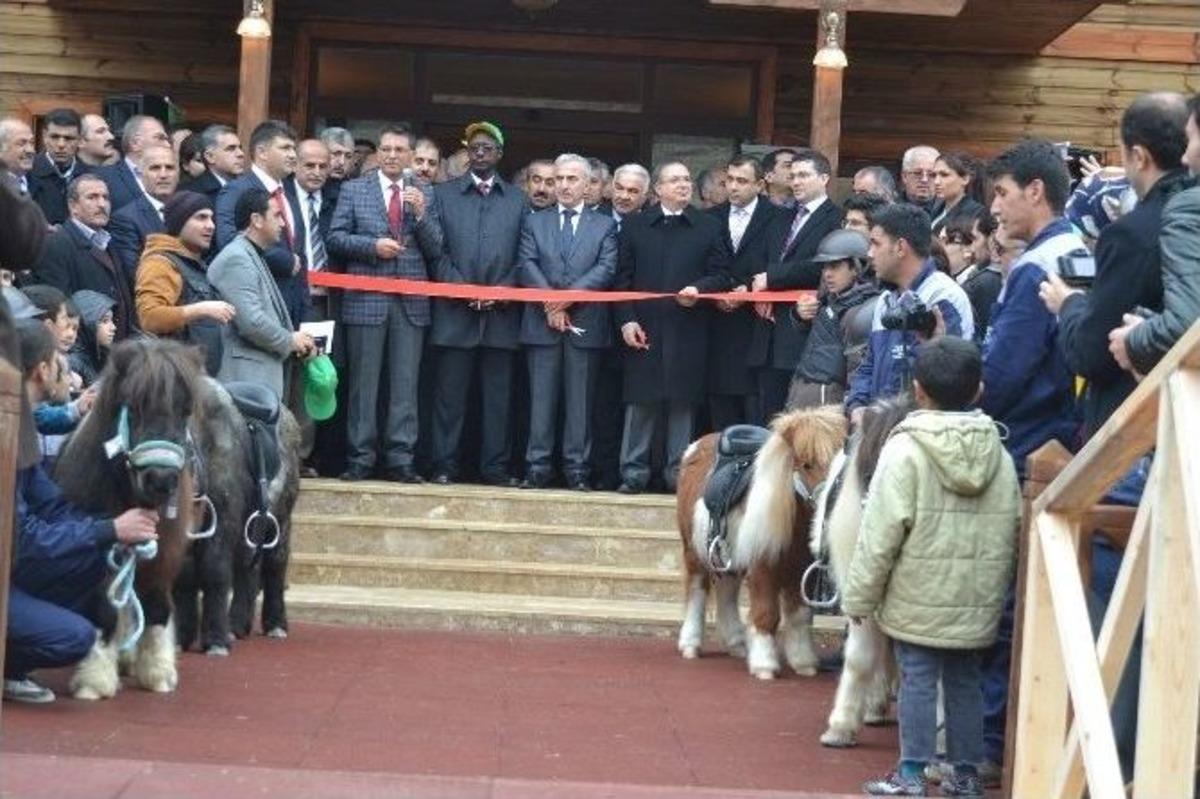 Hippoterapi Merkezleri Ve Restorasyonu Biten Tarihi Mekanlar A&ccedil;ıldı